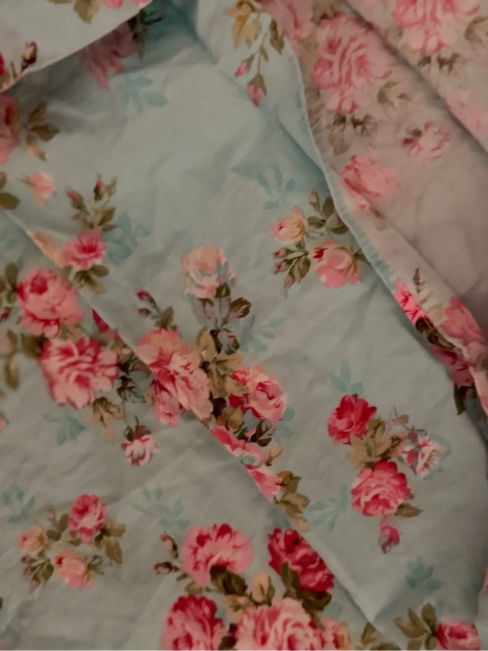 2 Shabby Cottagecore Standard Aqua Blue Cotton  Pillowcases Bright Pink Roses